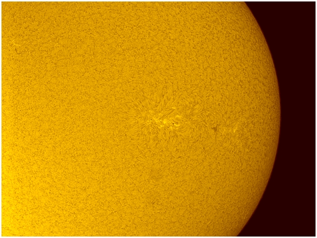 Zon in H-alpha (Foto: Peter Van den Eijnde)