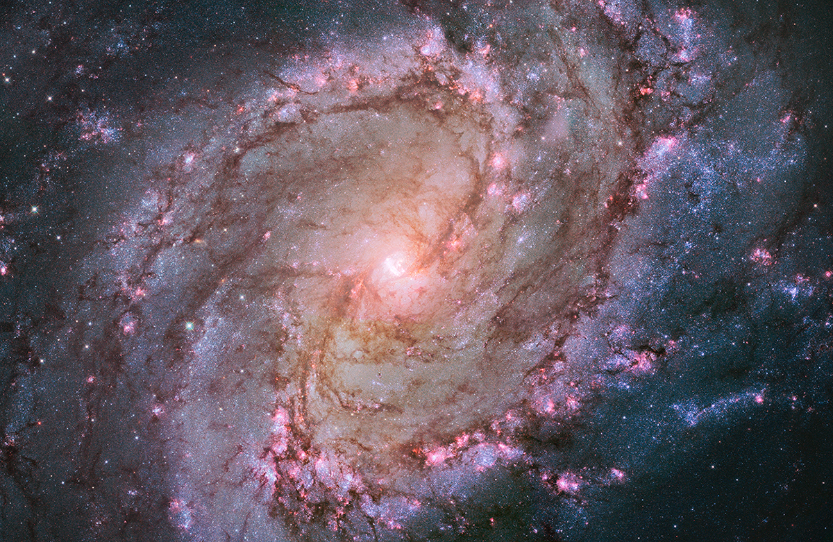 Deze opname van het balkspiraalstelsel Messier 83 is gemaakt met de Hubble-ruimtetelescoop. De talrijke heldere roze en blauwe gebieden in dit stelsel wijzen op een grote stervormingsactiviteit. (NASA, ESA, and the Hubble Heritage Team) 