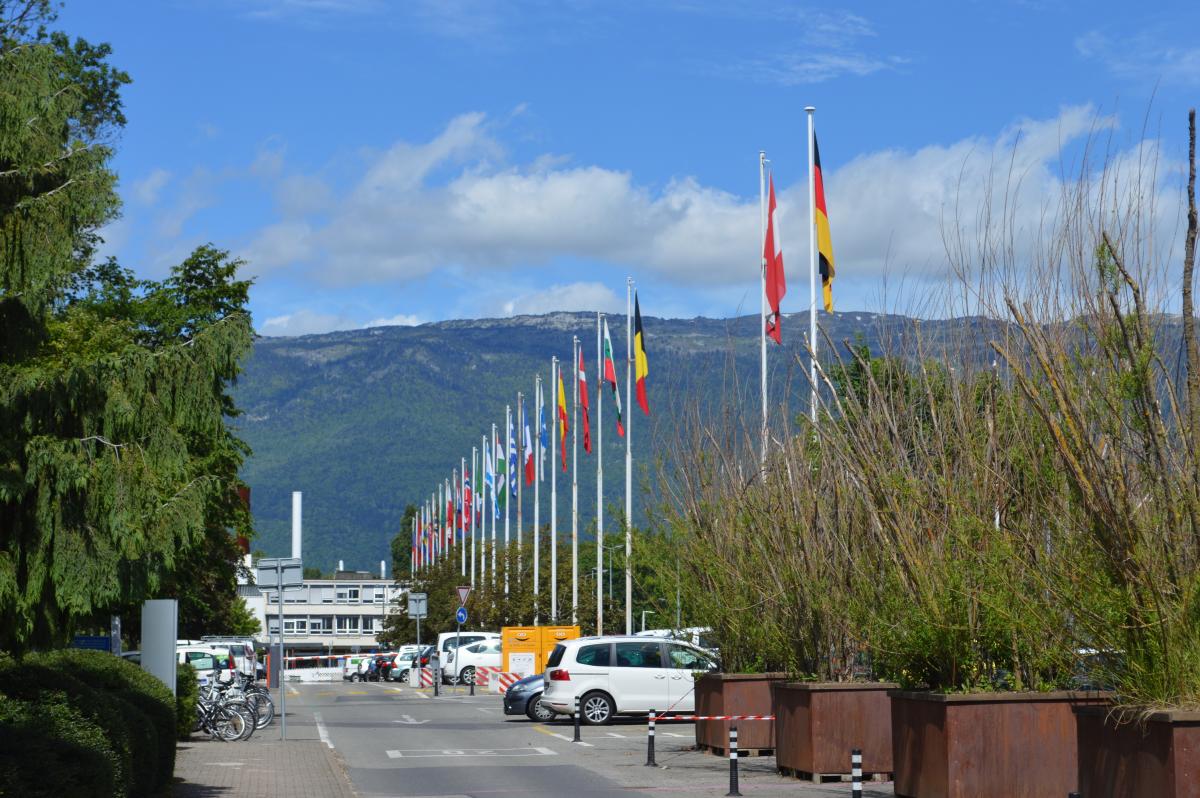 Aankomst in Cern