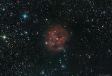 Cocoon Nebula (IC 5146) - Dirk Van Luyten (05/08/2020)