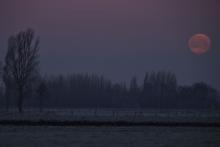 Maansverduistering - Yvan Verhelle (21/01/2019)