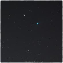 Komeet Catalina (C/2013 US10) - Koen Van der Auwera (29/12/2015)