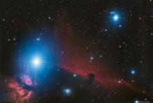 Paardenkop- & Vlamnevel - Dirk Van Luyten (24/01/2022)