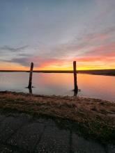 Zonsopgang Oesterput - Bram Bauwens (17/01/2023)