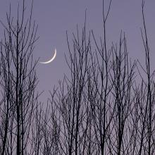 Maansikkel - Jan Walschap (04/03/2022)
