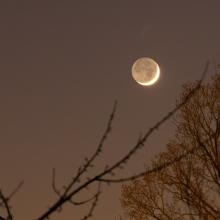 Maansikkel - Jan Walschap (04/03/2022)