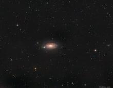 Zonnebloemstelstel (M63) - Dirk Van Luyten (08/06/2021)