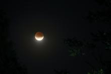Gedeeltelijke maansverduistering - Sven De Deyne (16/07/2019)
