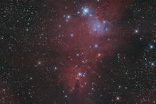 Cone Nebula (NGC 2264) - Steven Van Camp (26-27/09/2014)