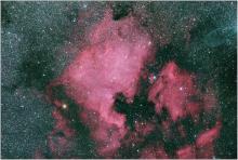 Noord-Amerika- en Pelikaannevel - Peter Van den Eijnde (29/07/2022)