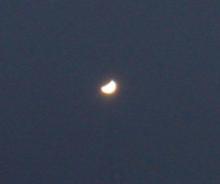 Venus - Patrick Marinus (12/04/2020)